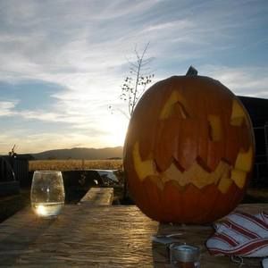 Meet your Posher, Pam